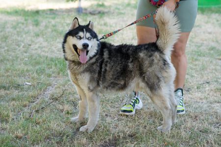 Харт шукає родину