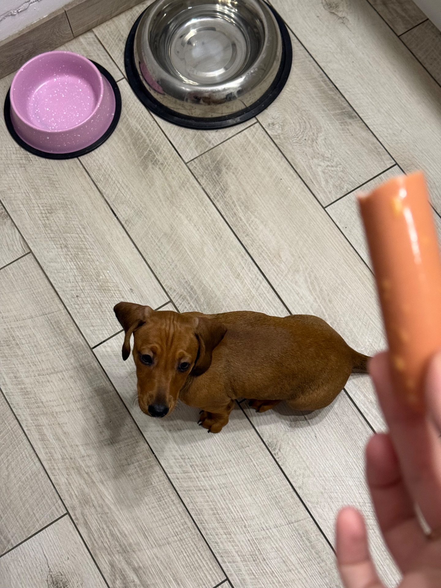 Руда дівчинка шукає сімʼю