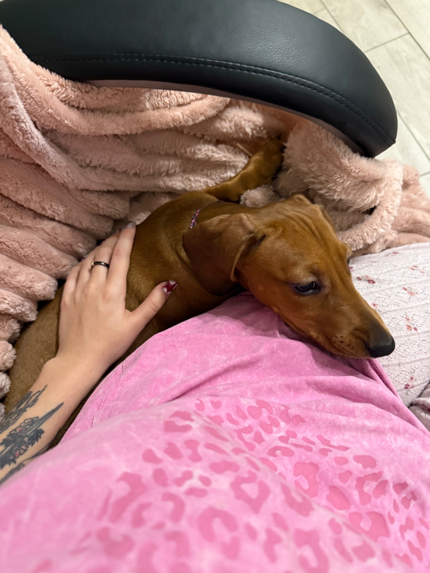 Руда дівчинка шукає сімʼю