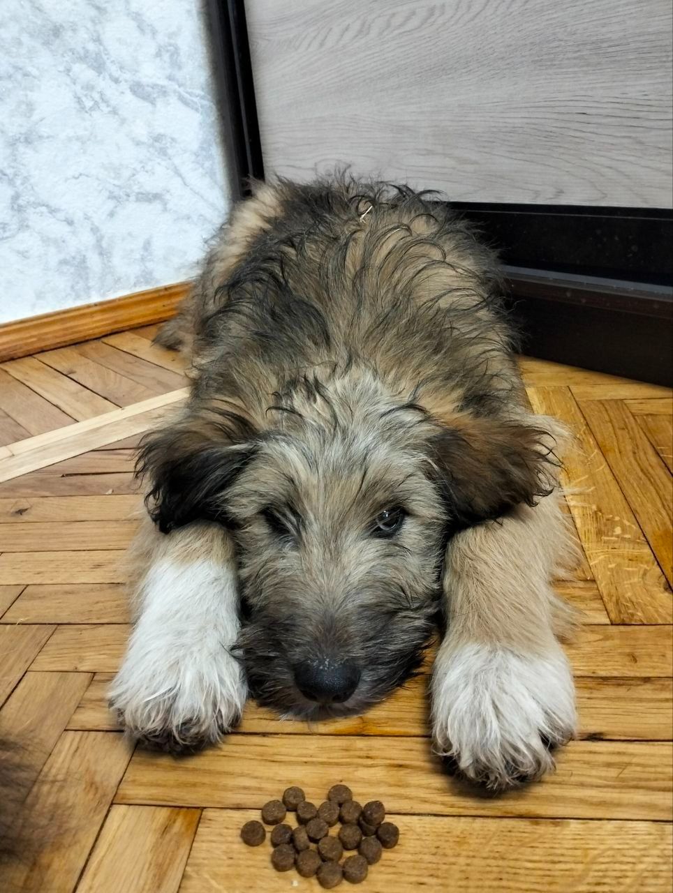 Хлопчик 3,5 місяці