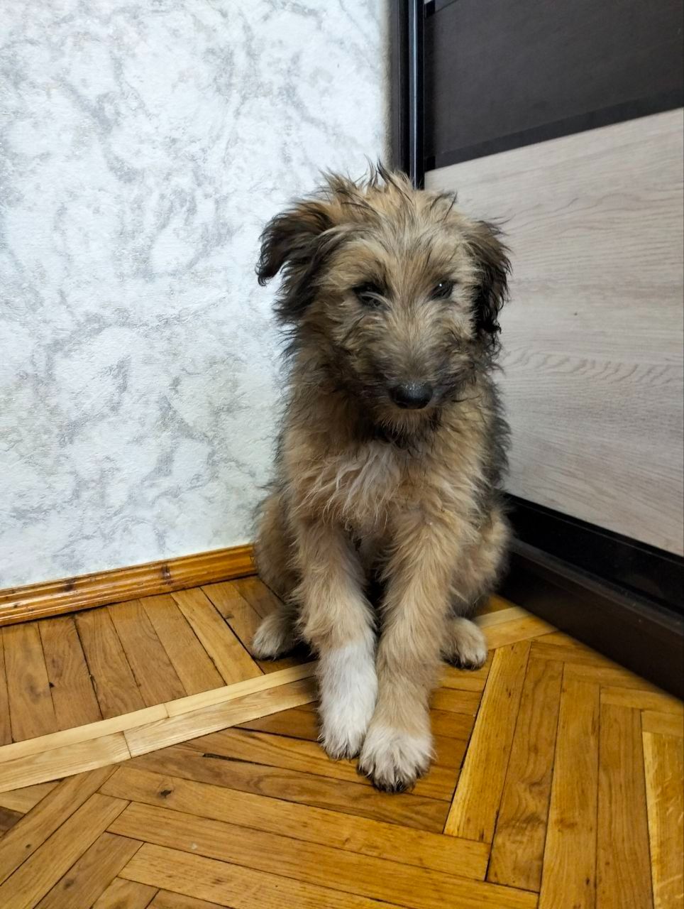 Хлопчик 3,5 місяці