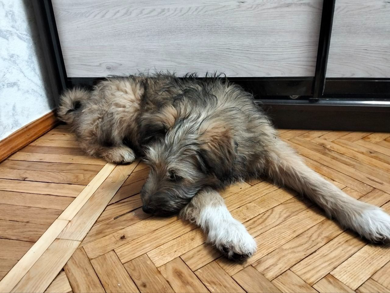 Хлопчик 3,5 місяці