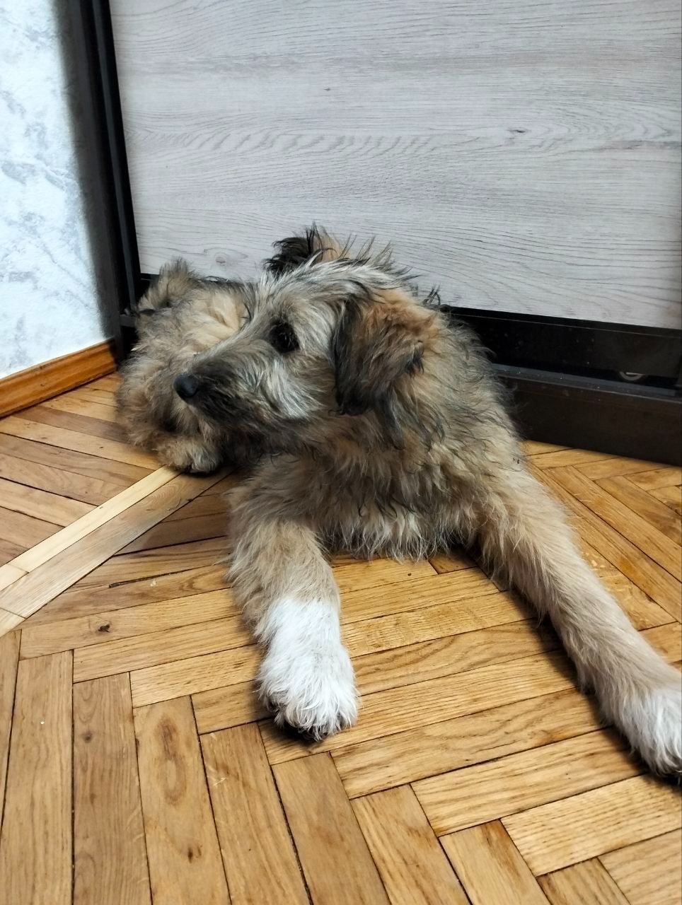 Хлопчик 3,5 місяці