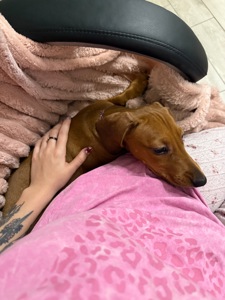 Руда дівчинка шукає сімʼю