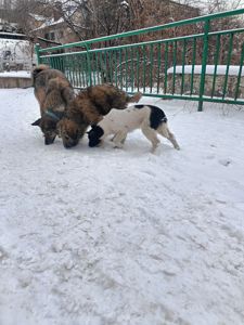 Хлопчик 3,5 місяці