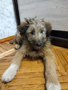 Хлопчик 3,5 місяці