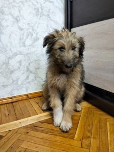 Хлопчик 3,5 місяці