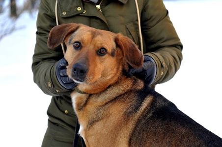 Льоша з Мирнограду