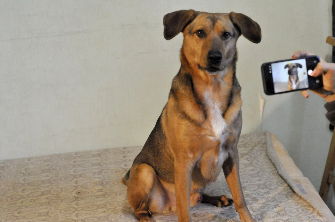 Льоша з Мирнограду