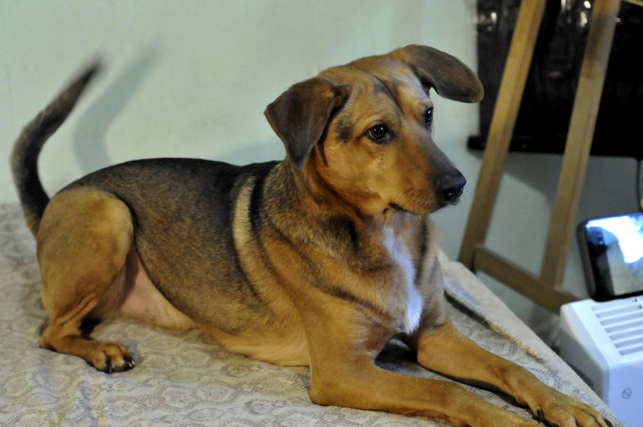 Льоша з Мирнограду