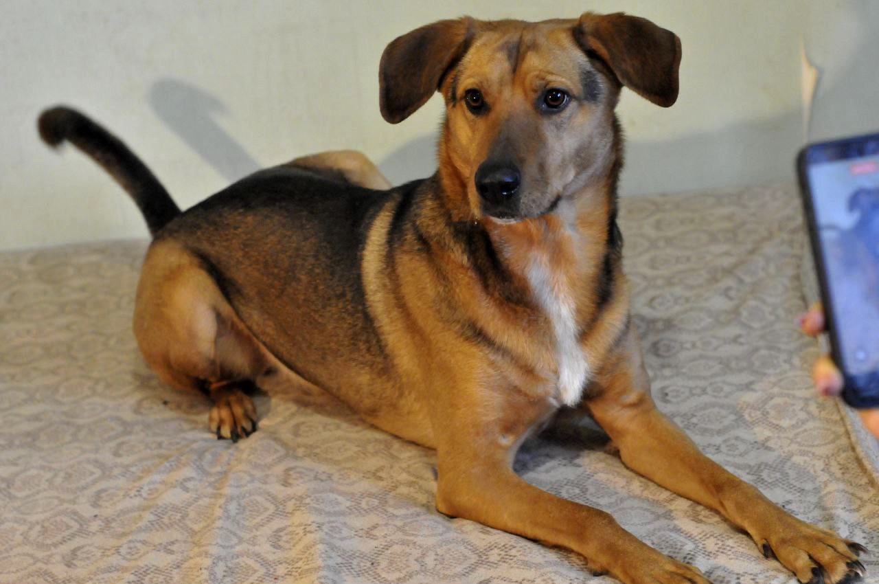 Льоша з Мирнограду