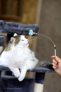 Мласнючий Макс