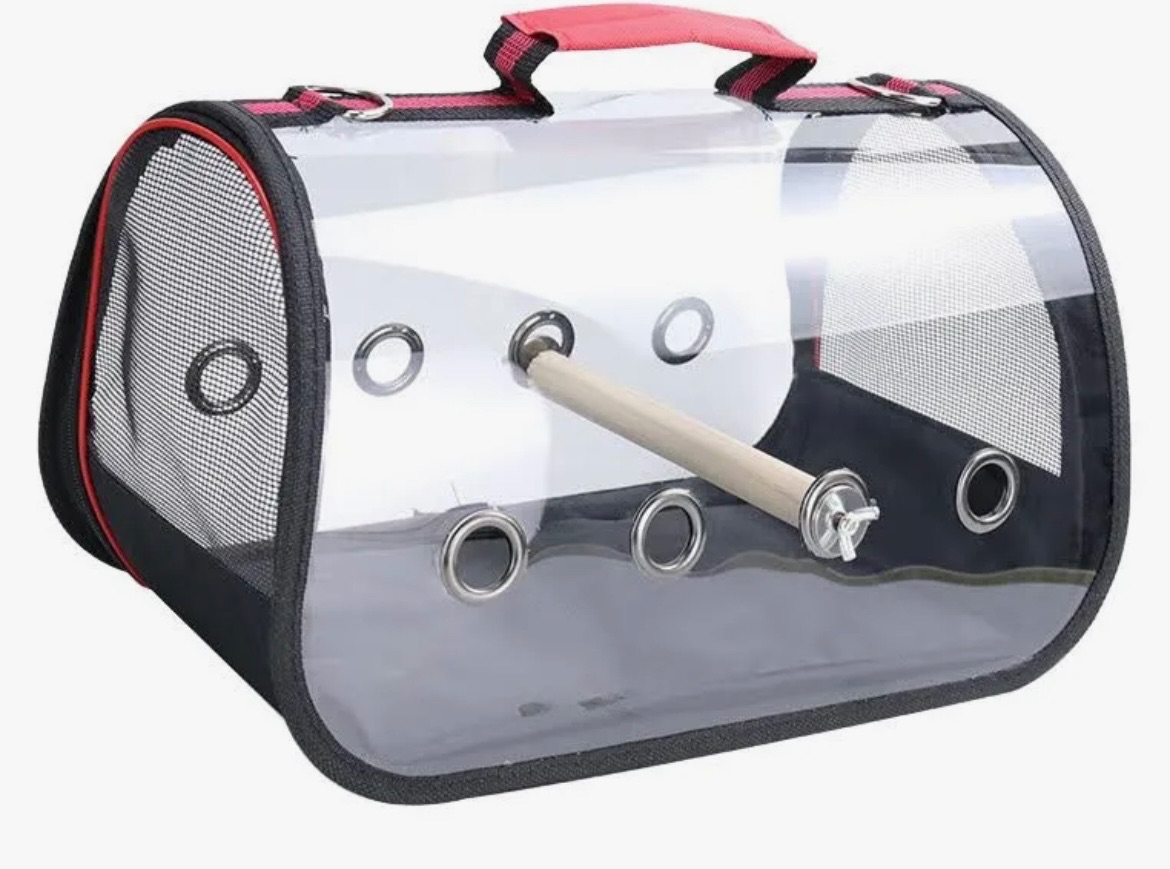 Пара корел та хвилястий папуга