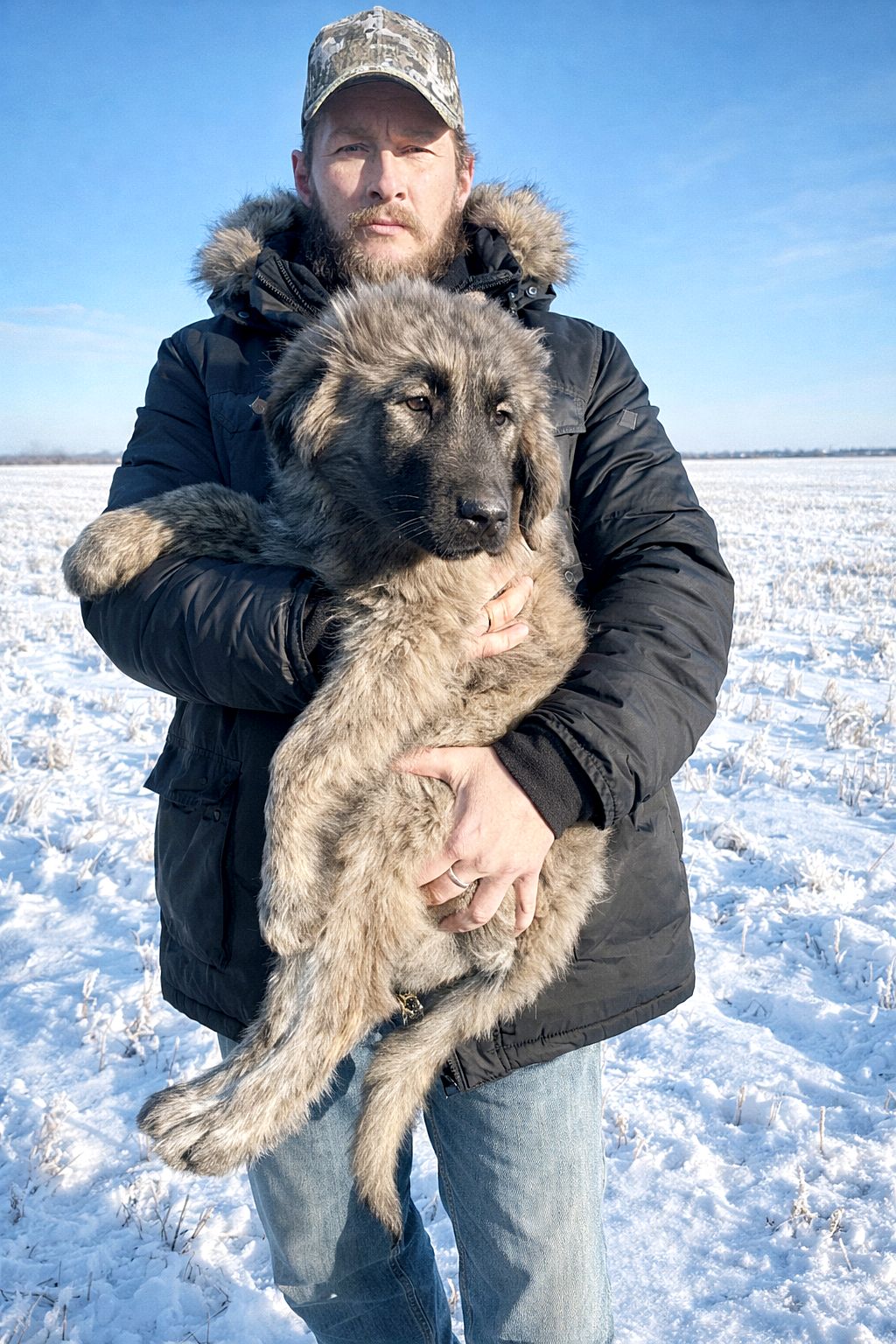 Аліментний хлопчик кавказької вівчарки від розплідника Star Escort