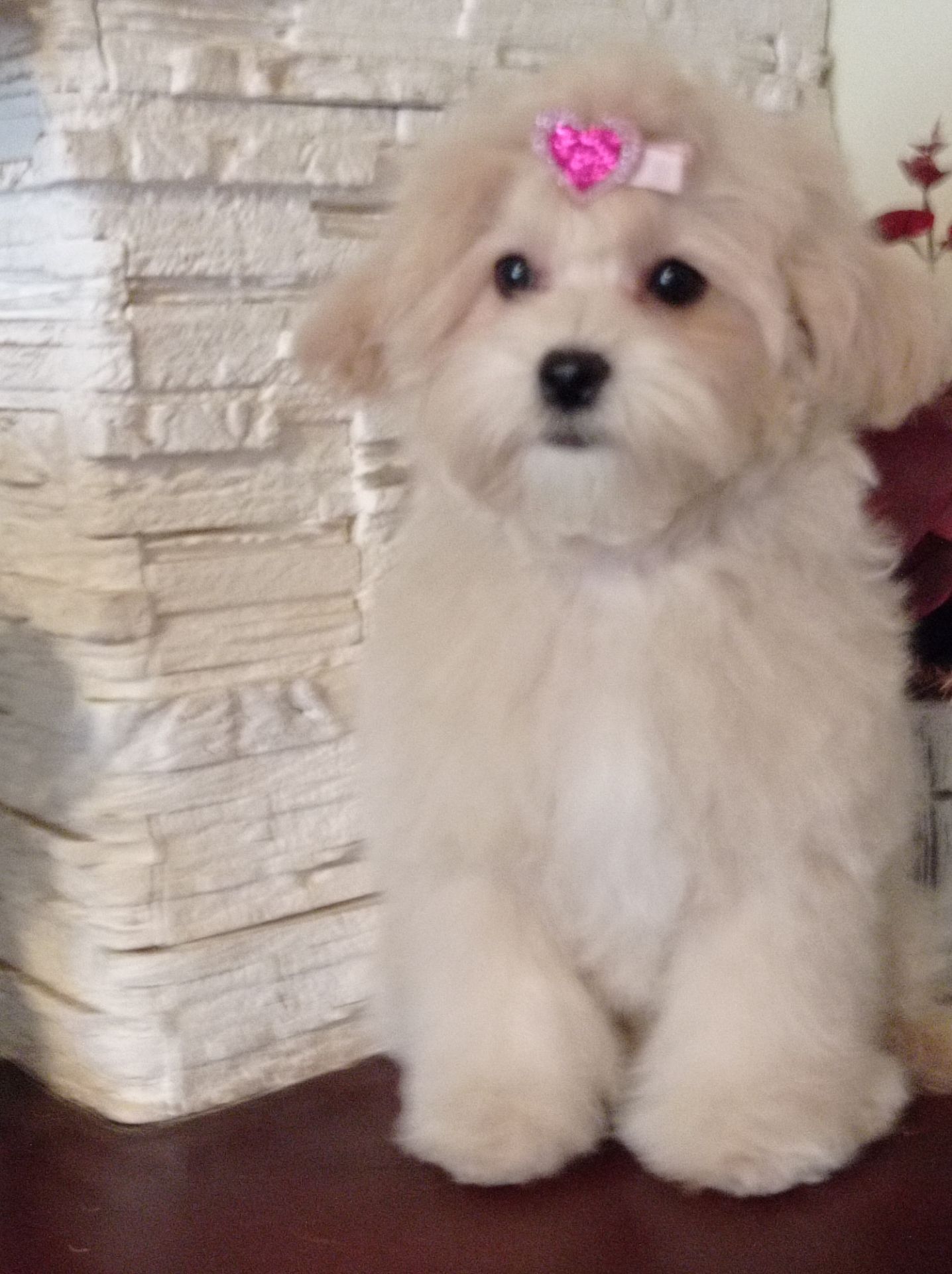 Хлопчик та дівчинка