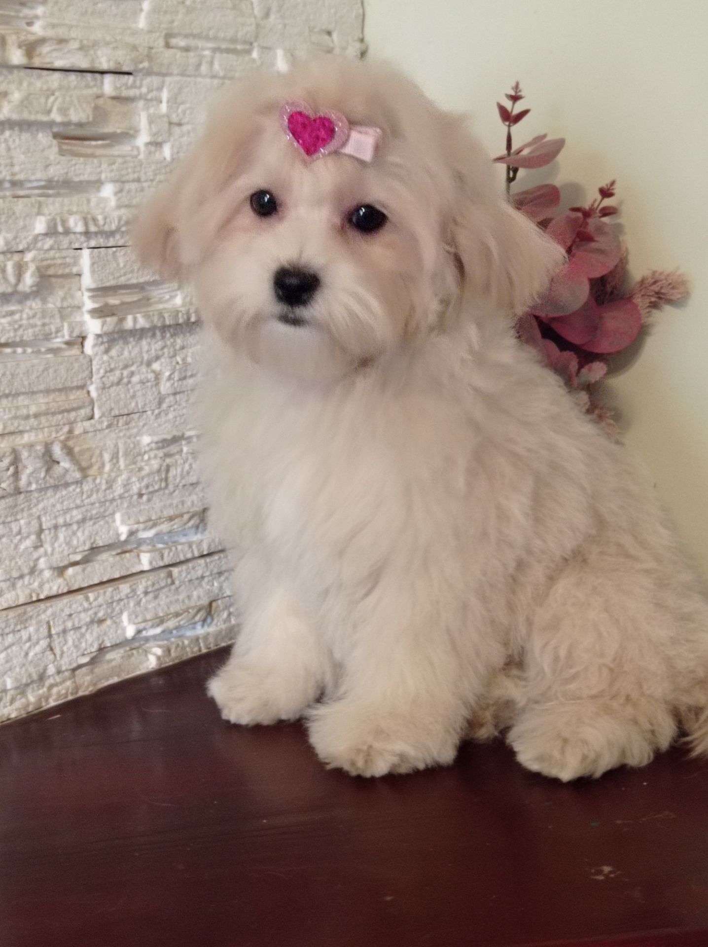 Хлопчик та дівчинка