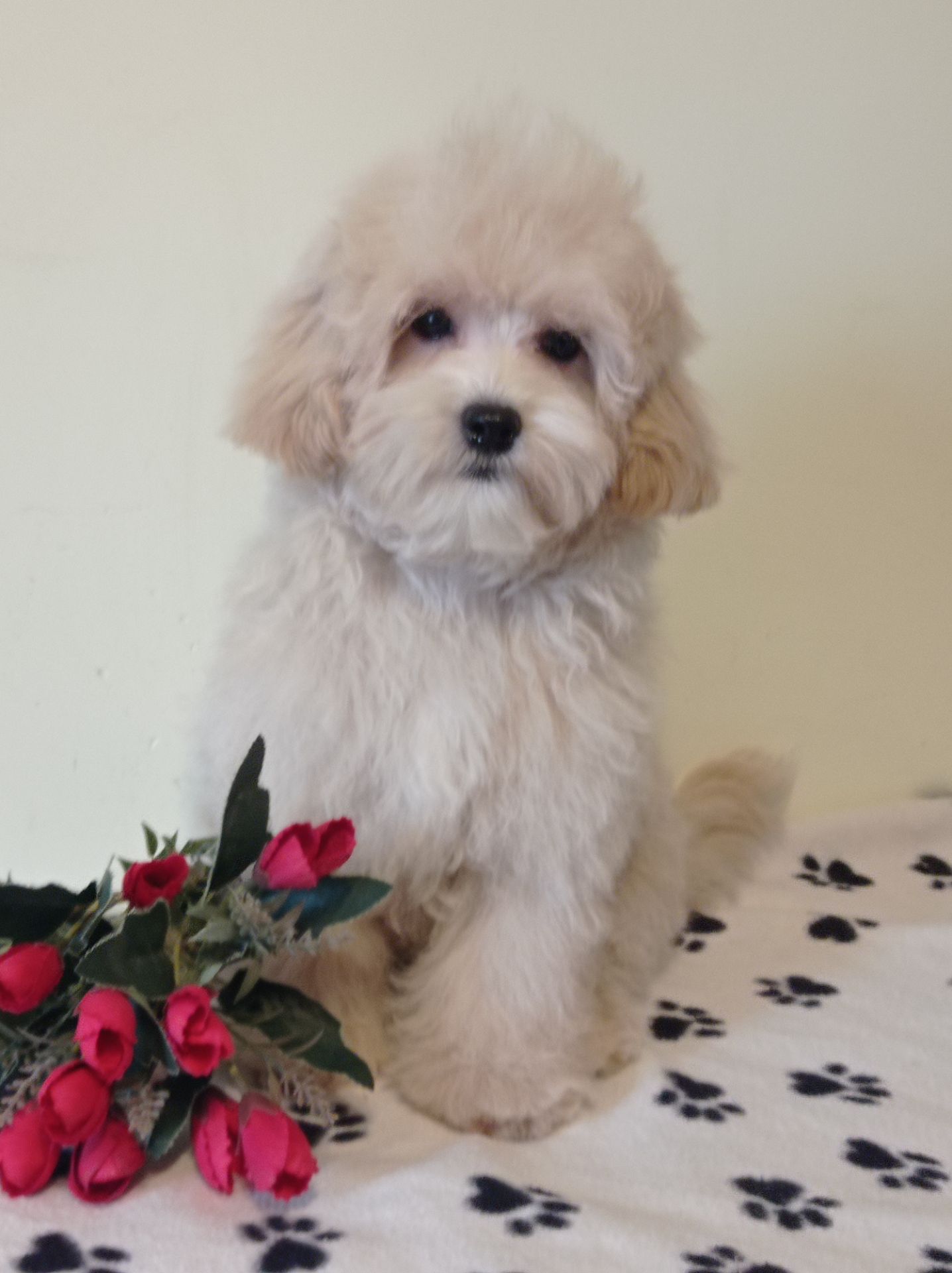 Хлопчик та дівчинка