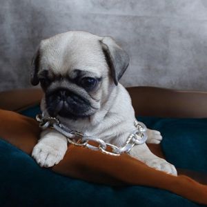 Неймовiрний красунчик!