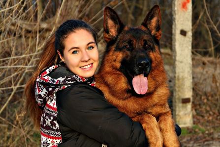 Офіційний племінний розплідник - пропунує цуцент німецької вівчарки