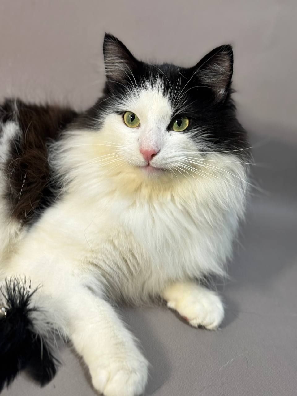 Тимофій, 2 роки.