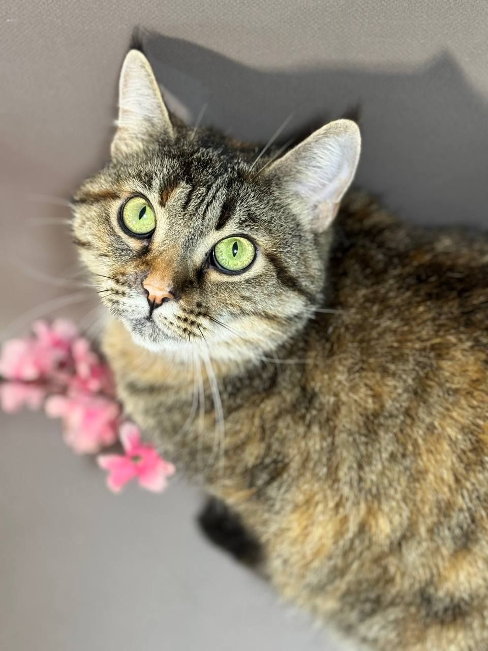 Джессіка, 3-4 роки