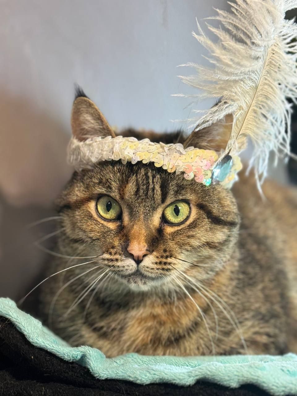 Джессіка, 3-4 роки