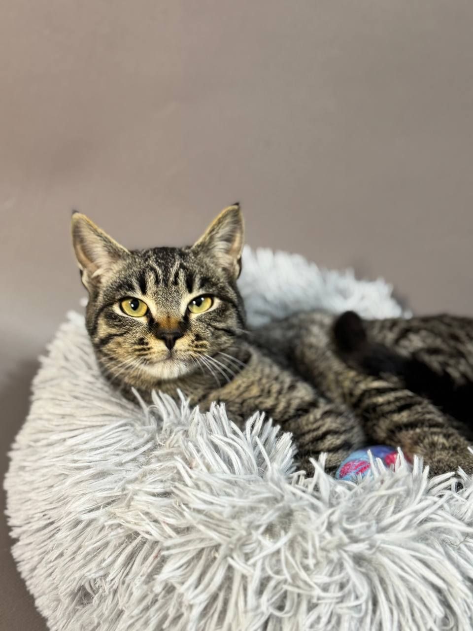 Мілана, 6-7 місяців