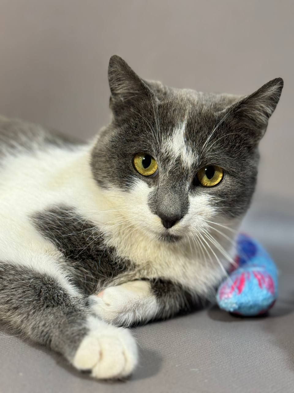 Макс, 6-7 місяців