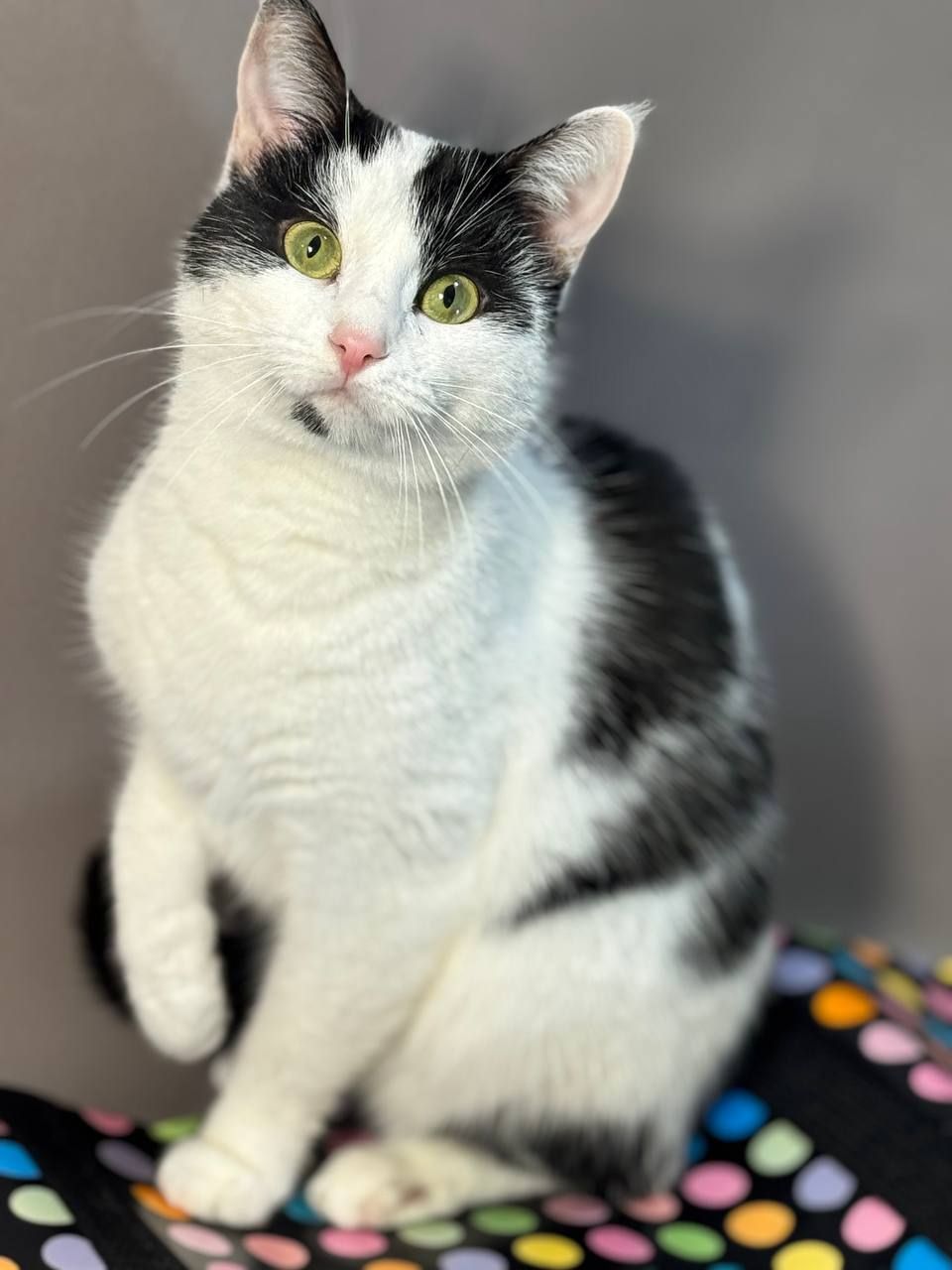 Джамала, 1 рік