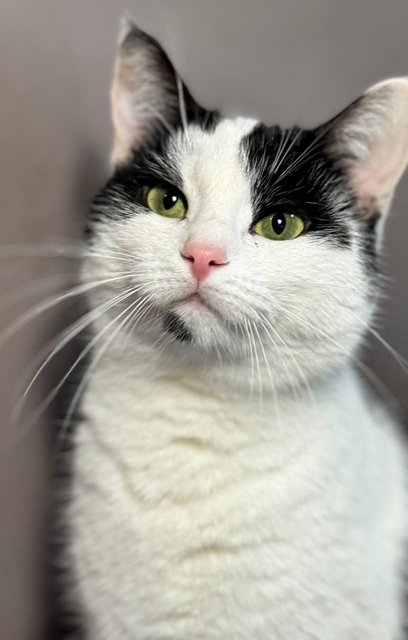 Джамала, 1 рік