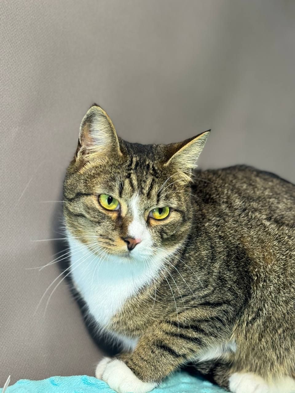 Клайд, 2 роки