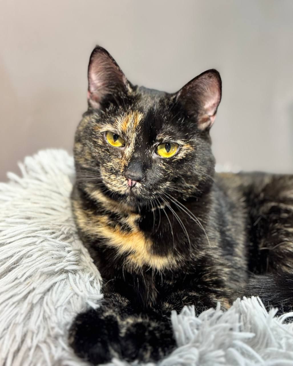 Дора, 10 місяців