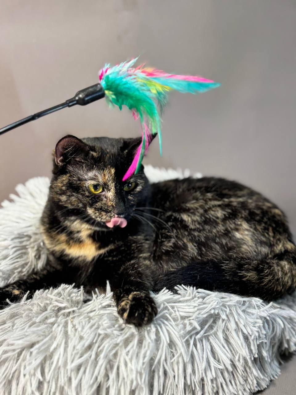 Дора, 10 місяців