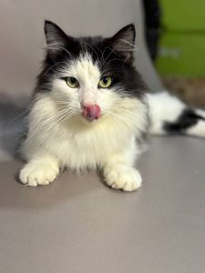 Тимофій, 2 роки.