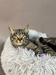 Мілана, 6-7 місяців