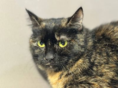 Берта, 2-3 роки