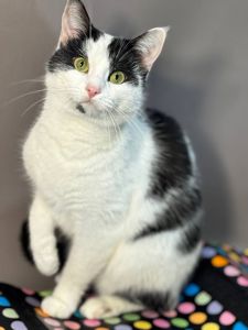 Джамала, 1 рік