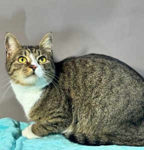 Клайд, 2 роки