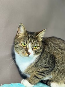 Клайд, 2 роки