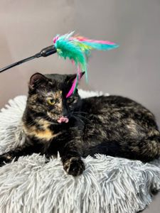 Дора, 10 місяців