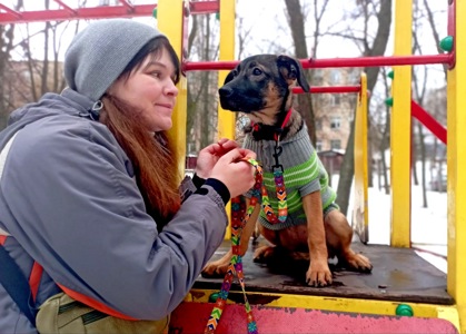 Цуценя Бейліз