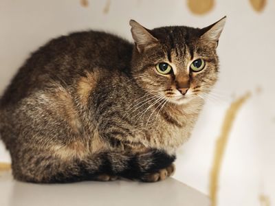 Дюймовочка