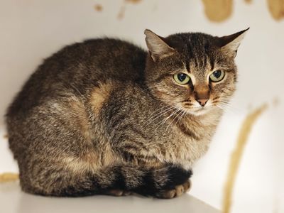 Дюймовочка