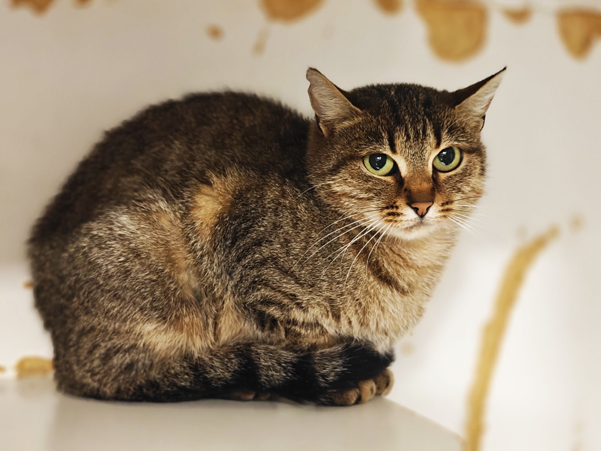 Дюймовочка