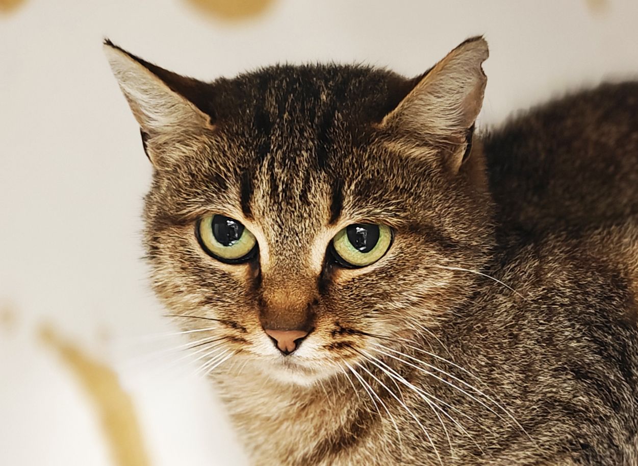 Дюймовочка