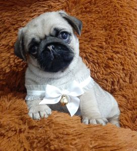 Чарiвна красунечка!