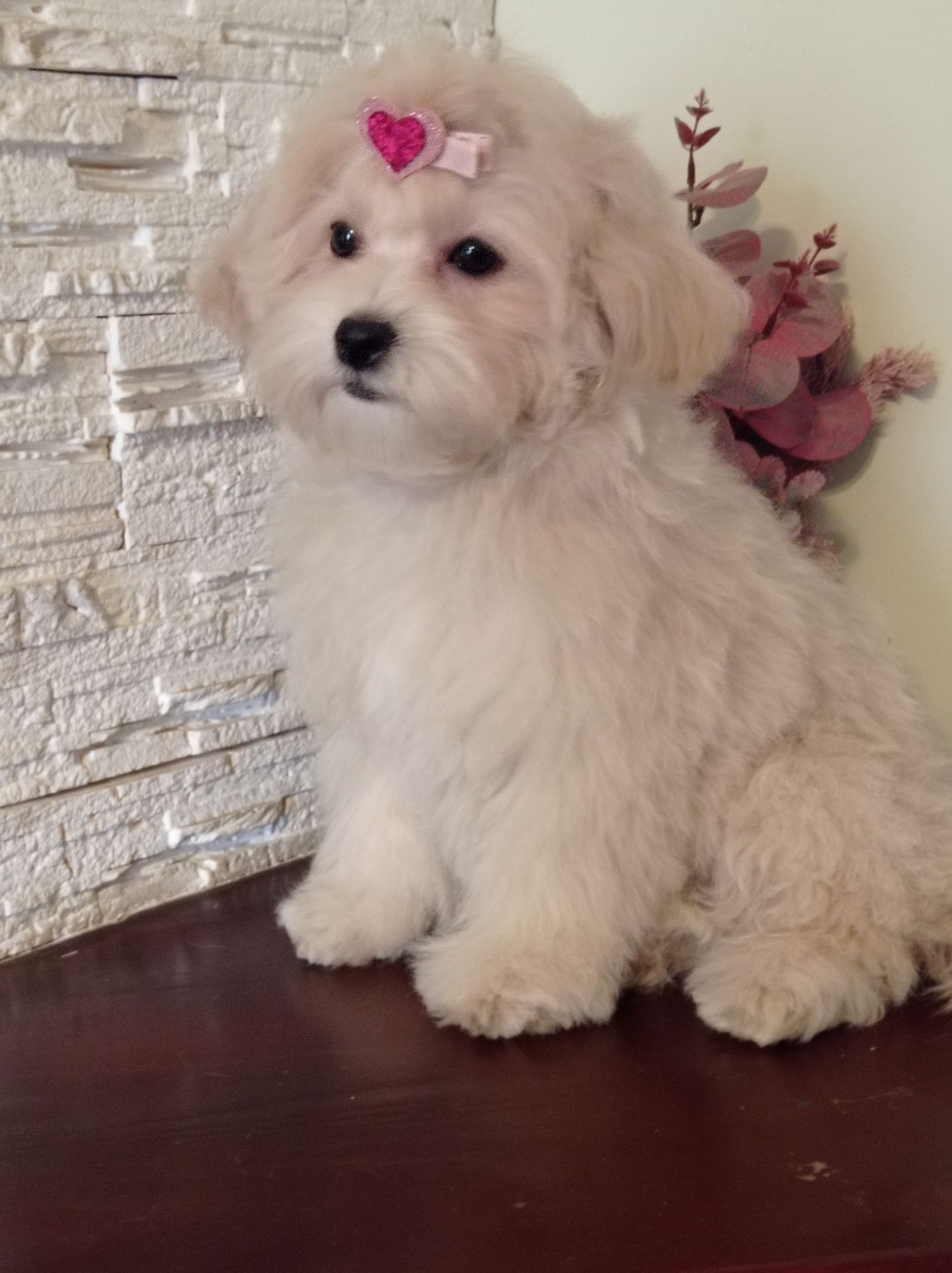 Девочка куколка