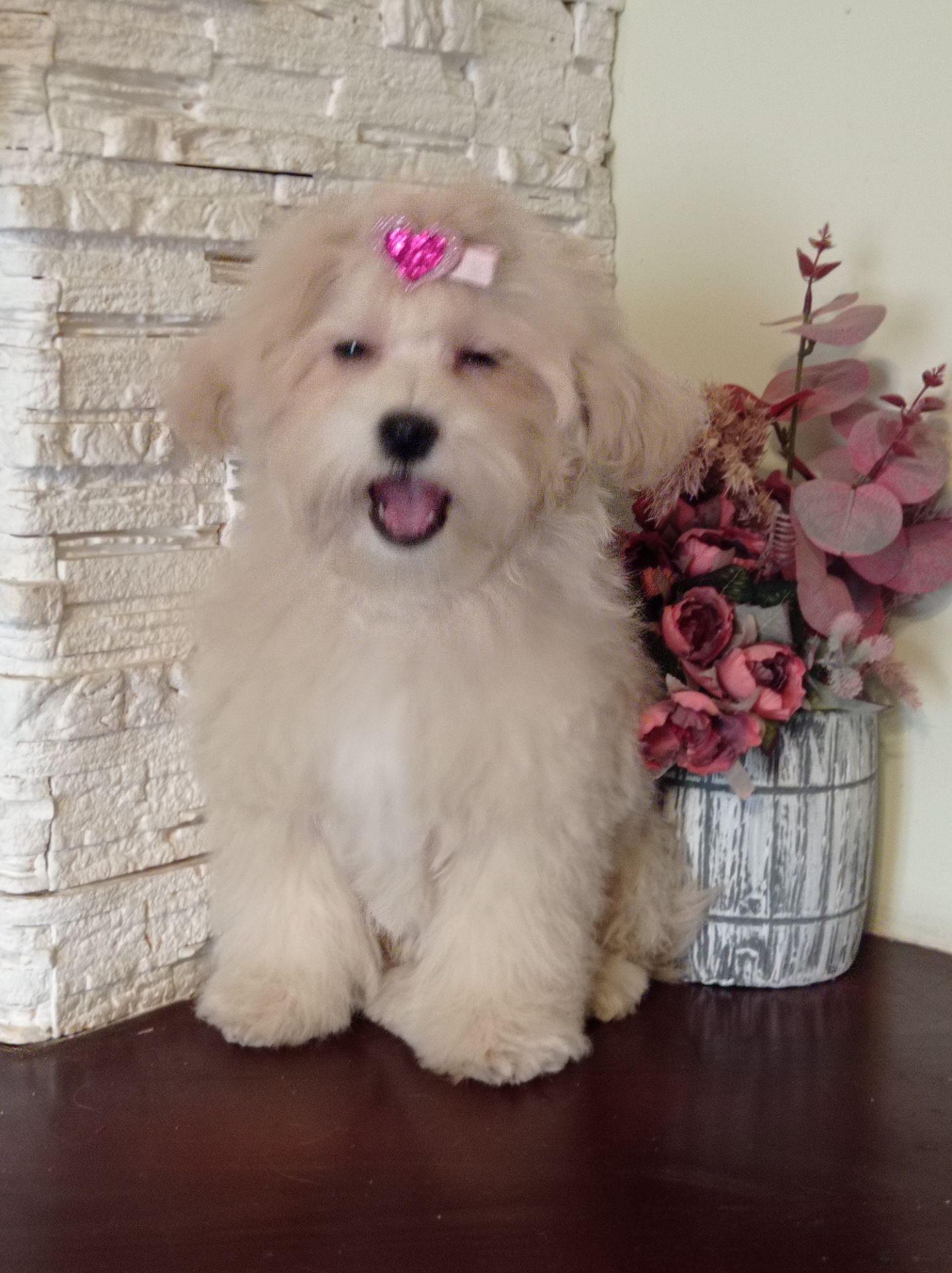 Девочка куколка