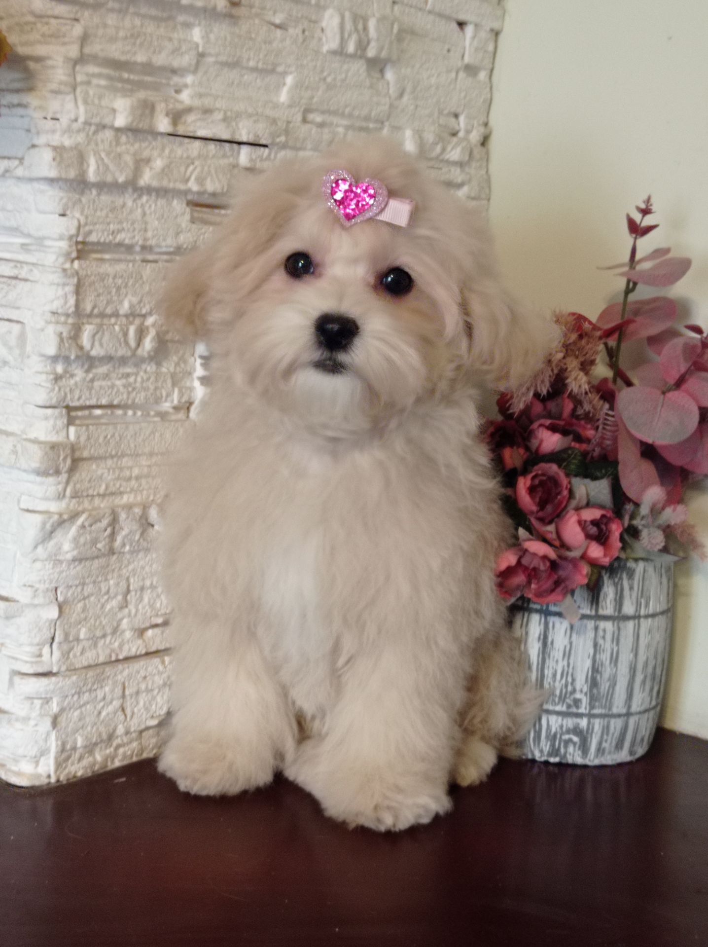 Девочка куколка