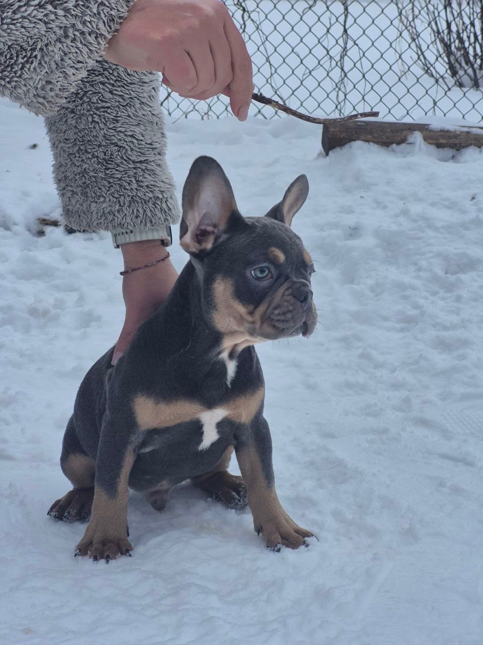 Марс шукає родину🌙